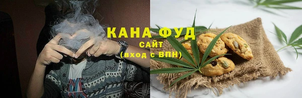 хмурый Мегион