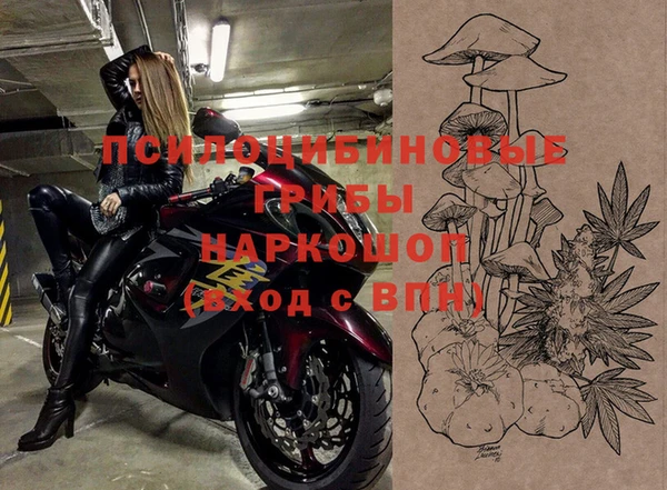 хмурый Мегион