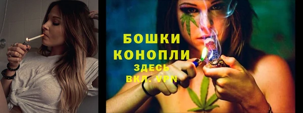 хмурый Мегион