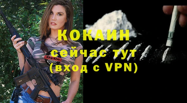 крисы Медвежьегорск