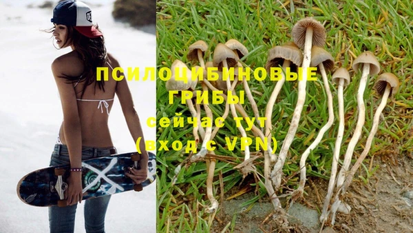 хмурый Мегион
