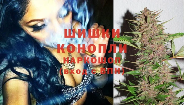хмурый Мегион