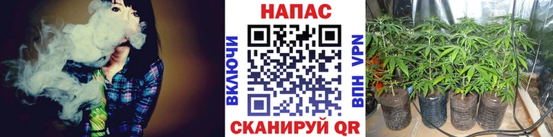 shop какой сайт  Энем  Конопля Ganja 